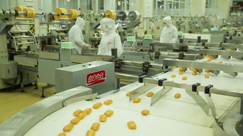 為巴黎奧運會喝彩——盼盼之家巴黎體驗店開幕與麥秸畫藝術(shù)盛宴