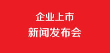 企業(yè)上市發(fā)布會與企業(yè)形象策劃 雙輪驅動，共鑄品牌新篇章